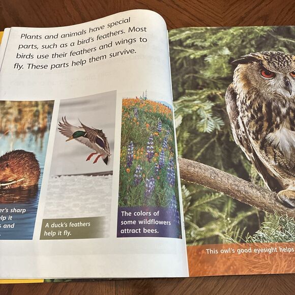 National Geographic Science: Habitats Big Ideas Big Book Classroom Teacher Group - Picture 6 of 6